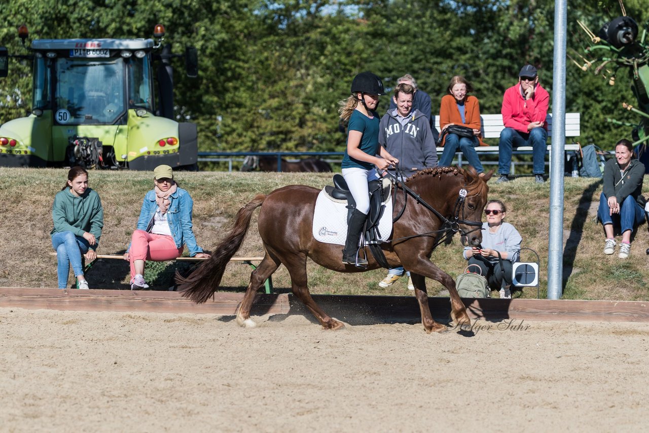 Bild 57 - Pony Akademie Turnier